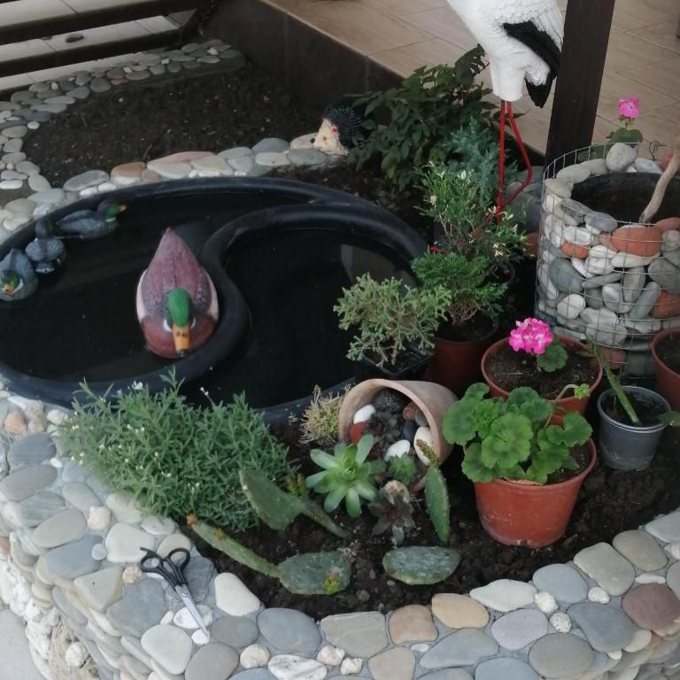 Гостевой дом «Guest House Elena» фото 7