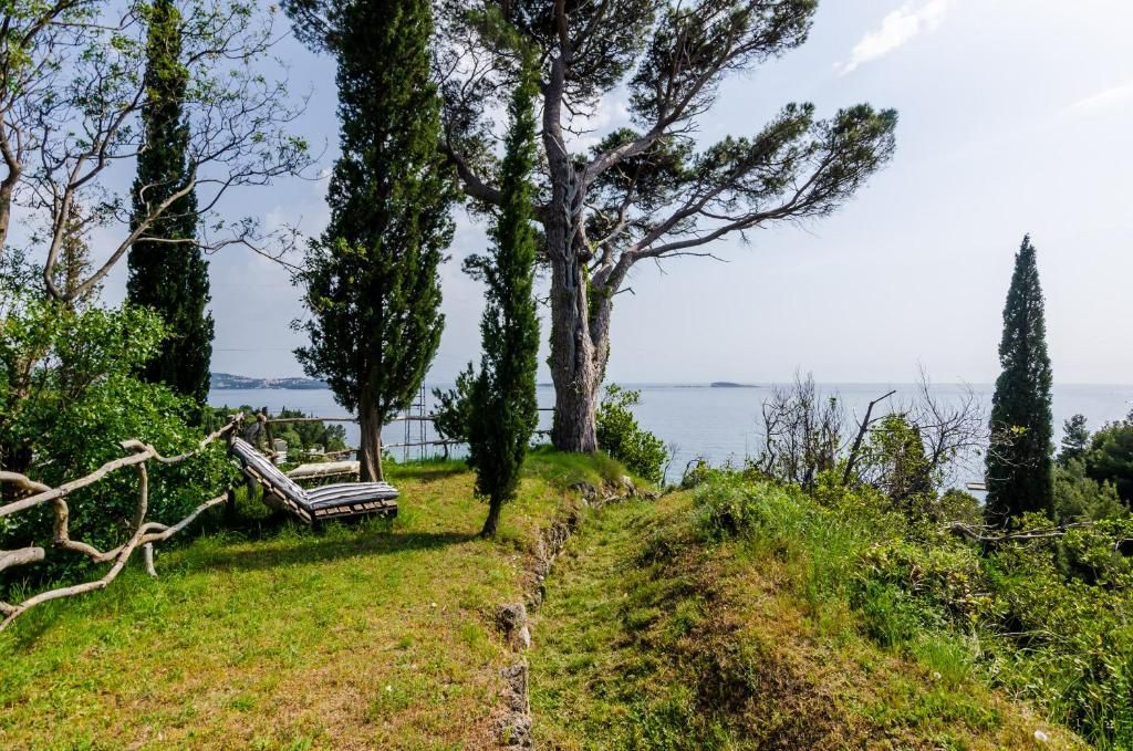 Villa Tonci фото 28
