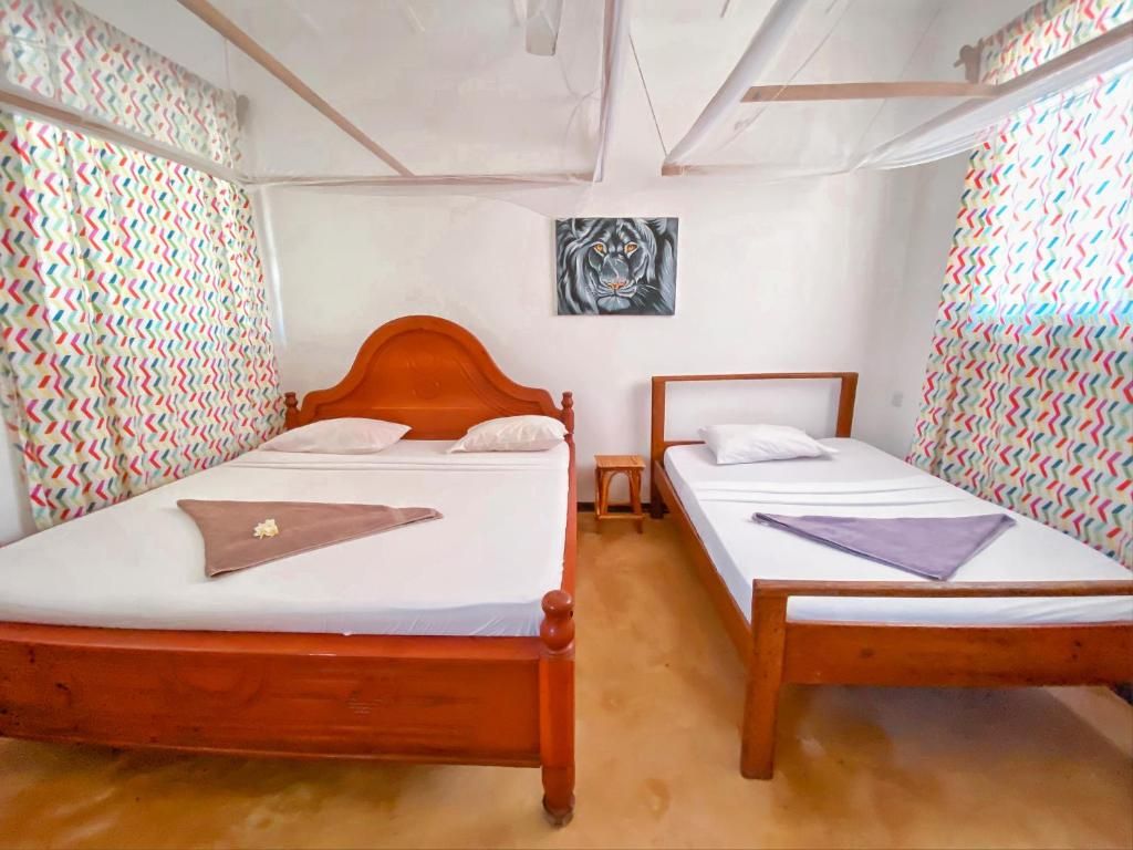 Guest House «Papaya Guest House Nungwi» фото 34
