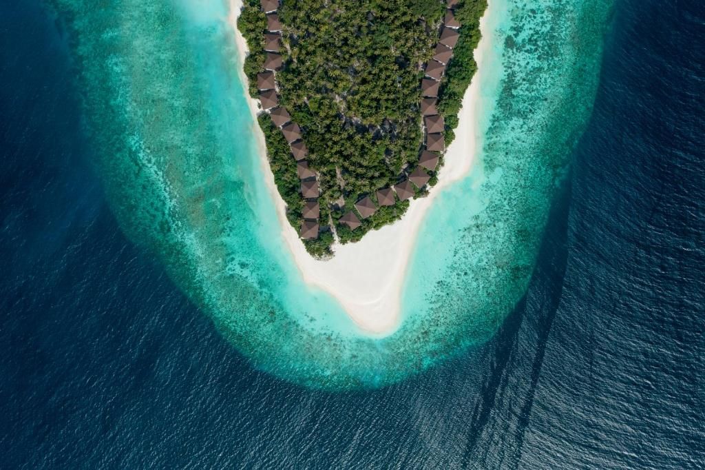 Avani+ Fares Maldives Resort фото 72