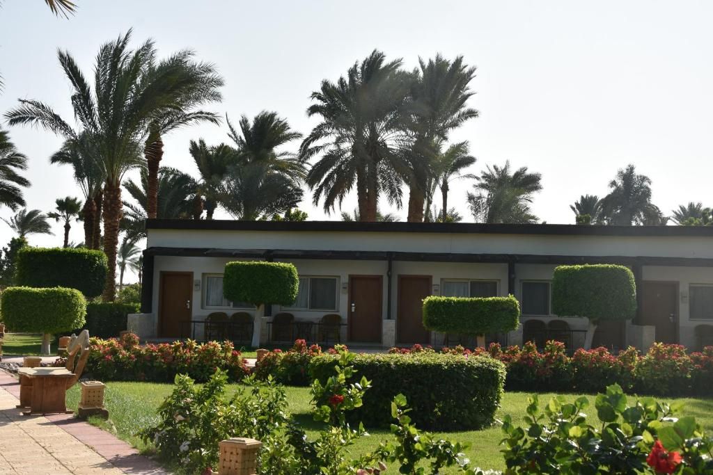 Nuweiba Club Resort фото 77