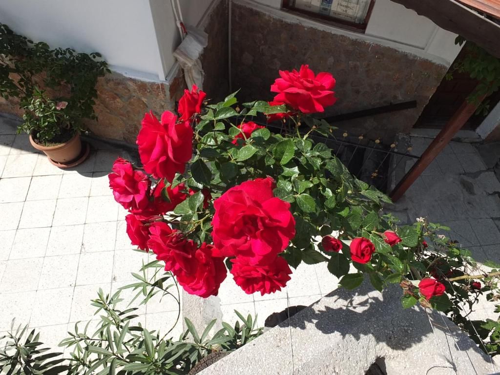 Anatolia Cave Hotel & Pension фото 28