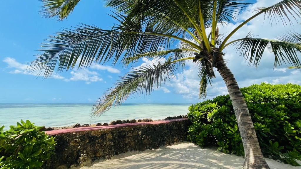 Jaz Amaluna Beach Resort (Adults Only) фото 56