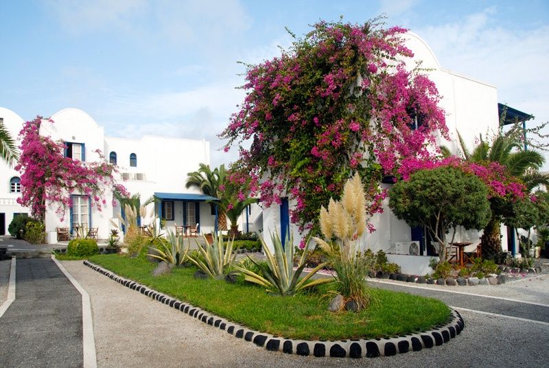 Mediterranean White фото 38