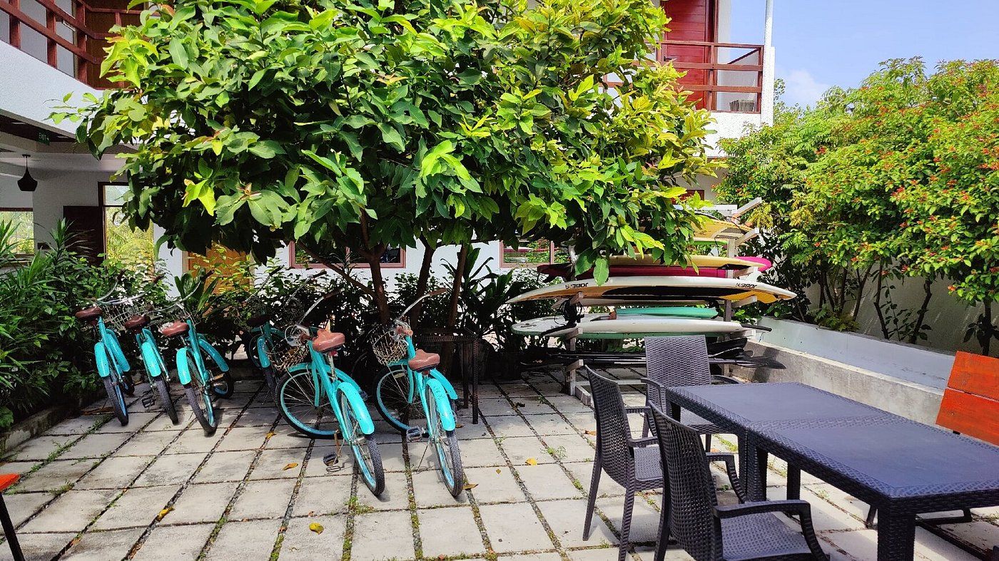 Guest House «Olive Goidhoo Guest House» фото 7