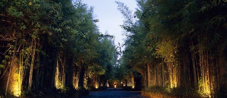 Фото отеля The Ahimsa