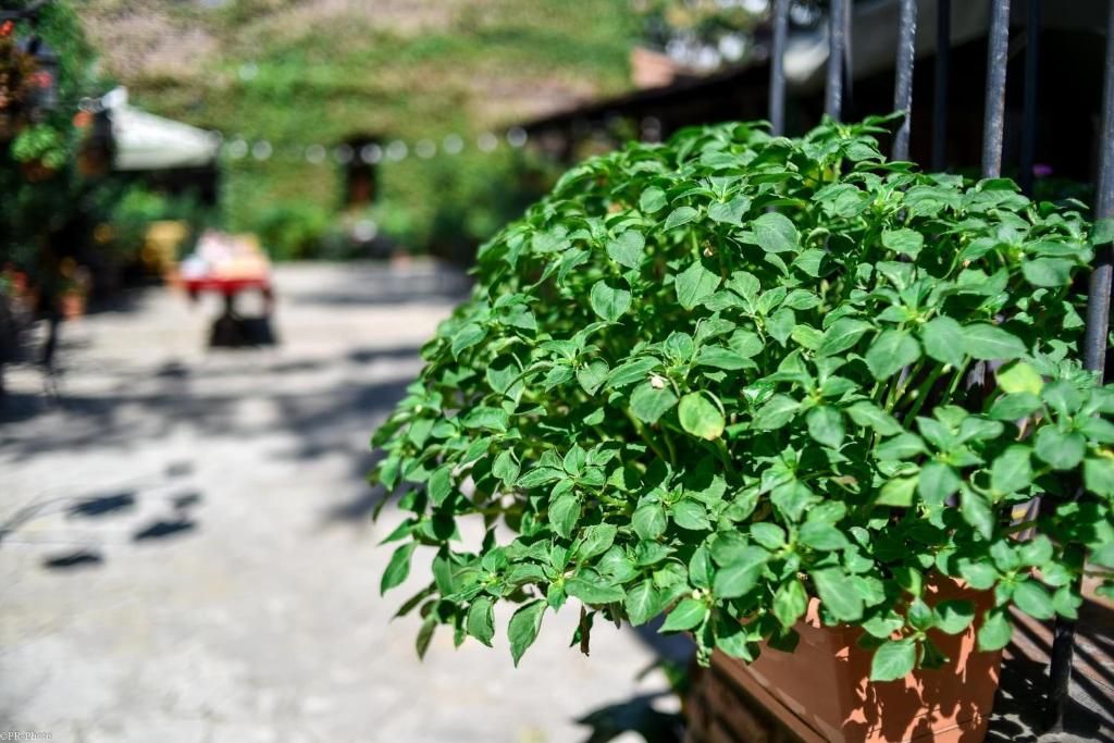Tiflis фото 19