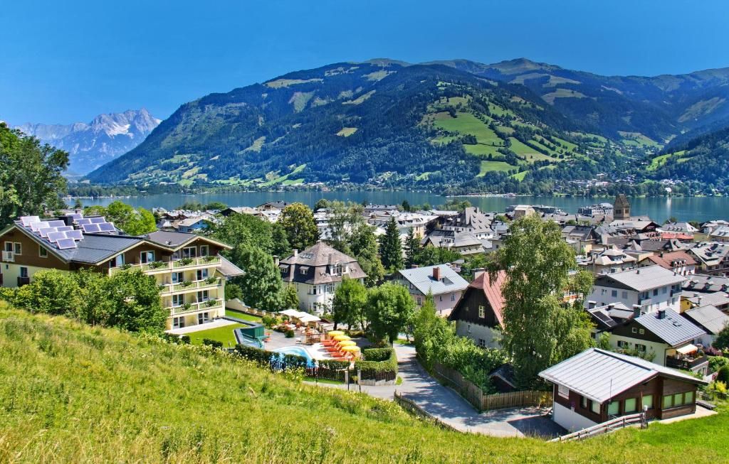 Berner фото 20