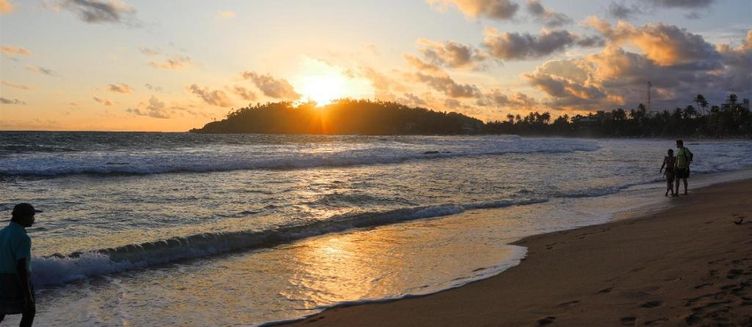 Фото отеля Mirissa Ocean Breeeze Hotel