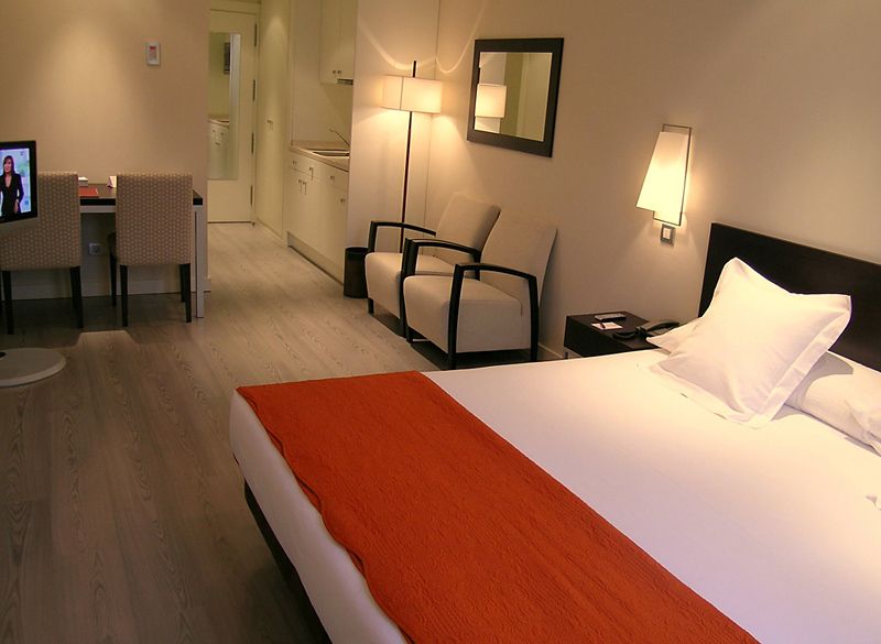 Апарт-отель «Suites Viena Plaza de Espaa» фото 4