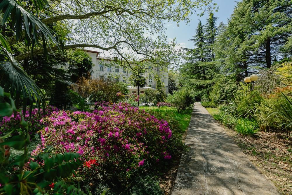 Пансионат «Orchestra Crystal Sochi Resort» фото 53