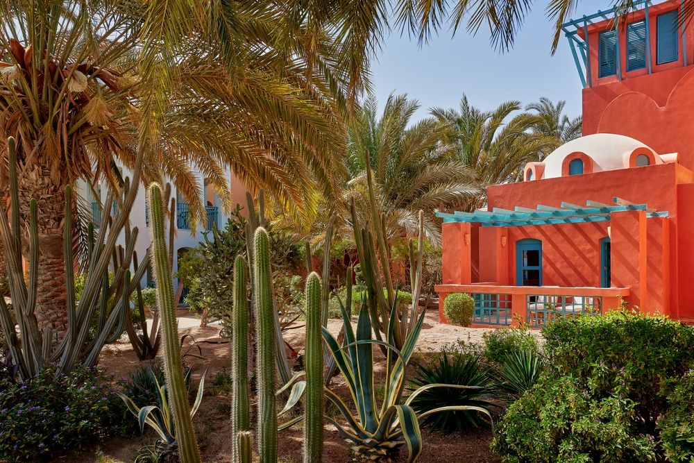 Sheraton Miramar Resort El Gouna фото 118