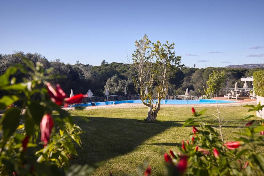 Longevity Cegonha Country Club фото 31