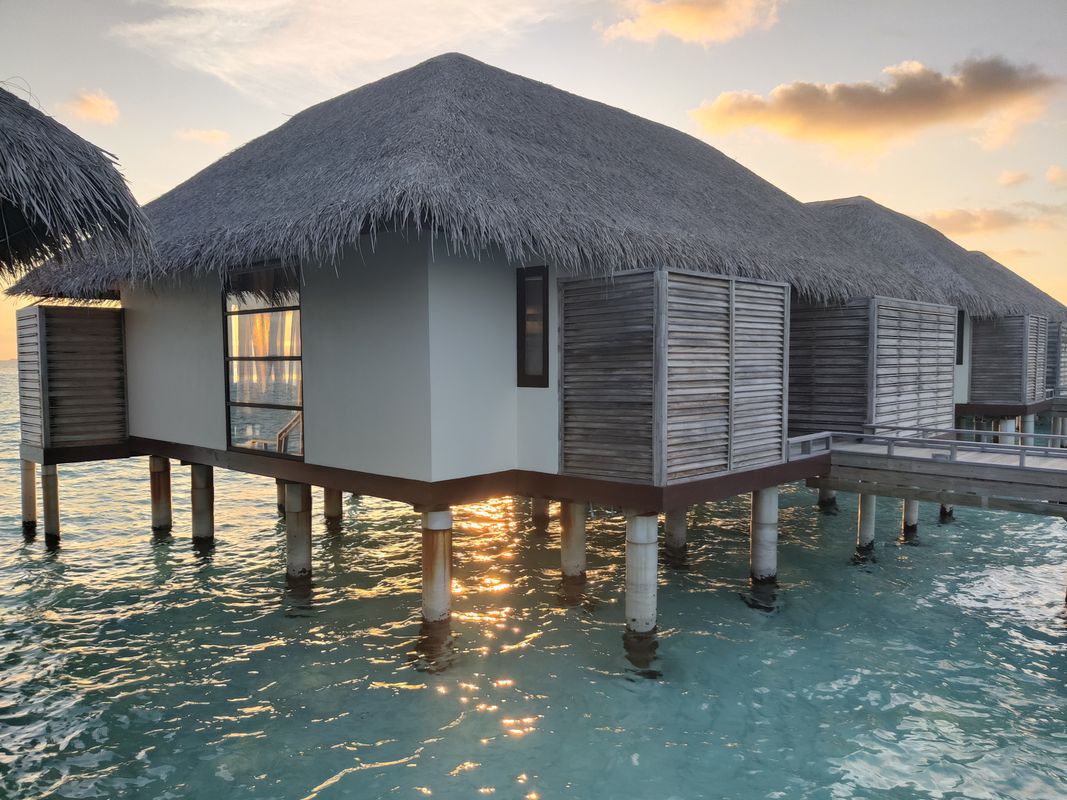 Niva Velassaru Maldives фото 60
