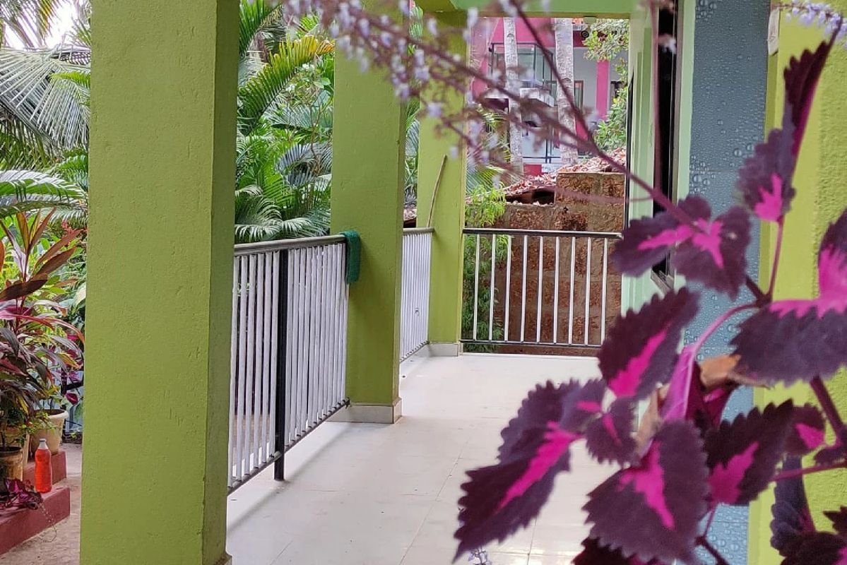 Guest House «Luciano Guest House» фото 10