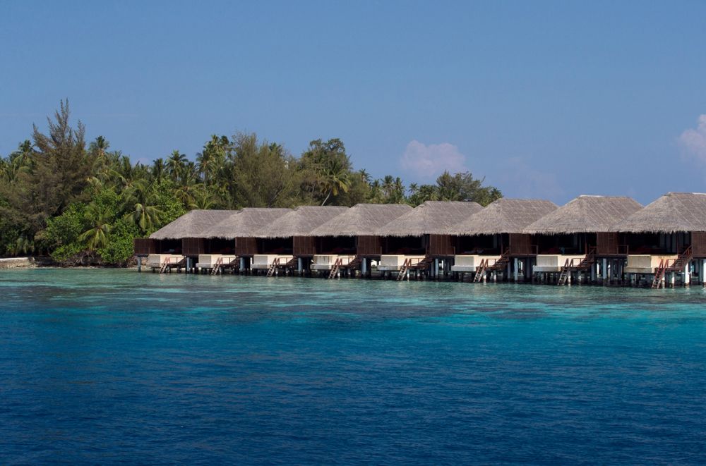 Coco Bodu Hithi фото 39
