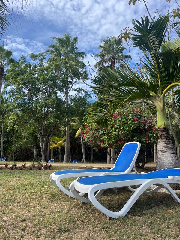 Blau Varadero (Adults Only) фото 67
