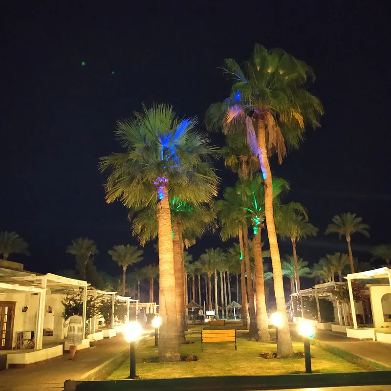 Seti Sharm Palm Beach Resort фото 67