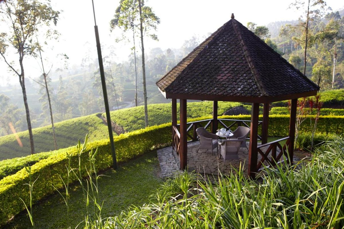 Ceylon Tea Trails фото 9