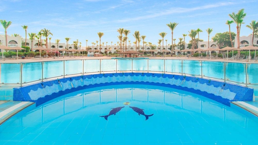 Domina Coral Bay Aquamarine Pool фото 7