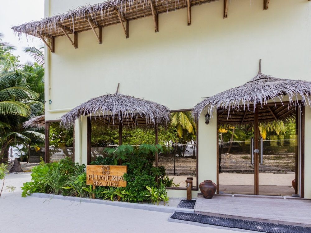 Guest House ««Plumeria Maldives» Guest House» фото 69