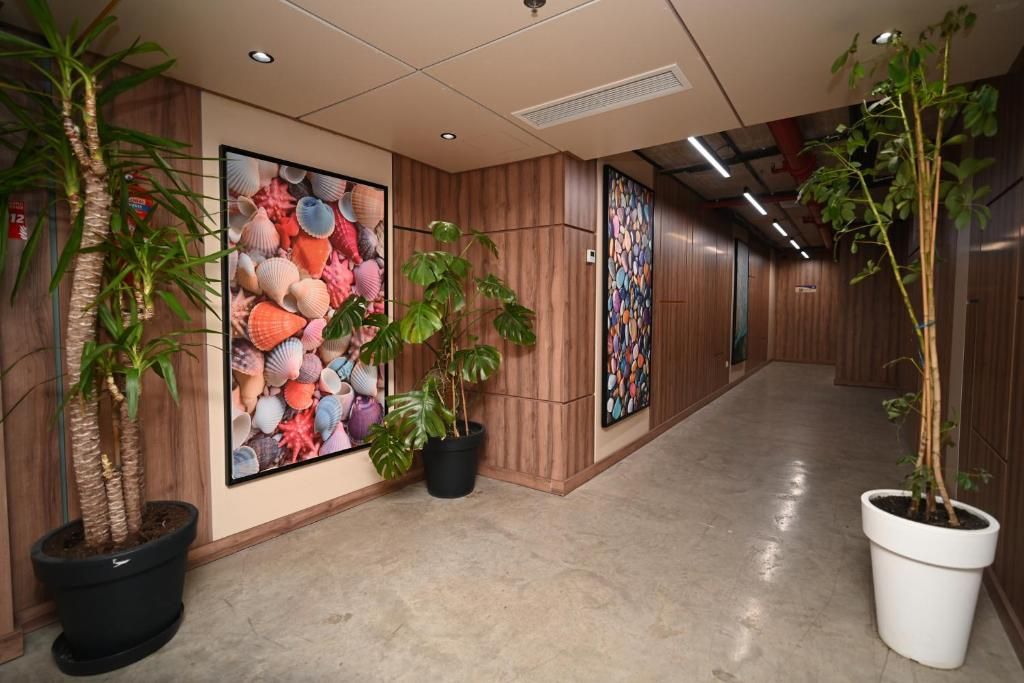 Rainbow Residence фото 11