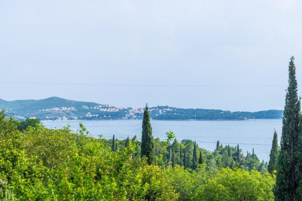 Villa Tonci фото 32
