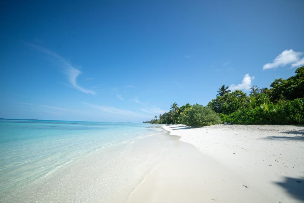 Whaleshark Beach фото 4