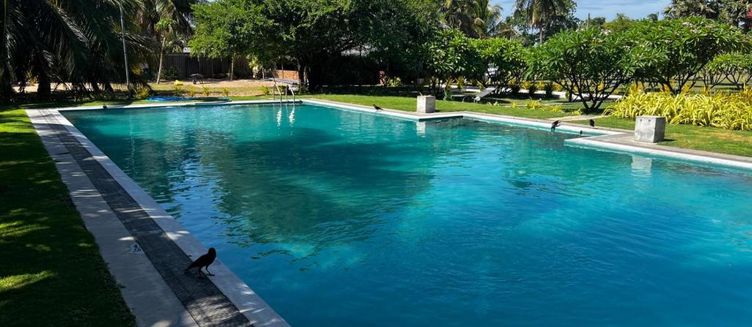Фото отеля N and N Beach Resort & SPA