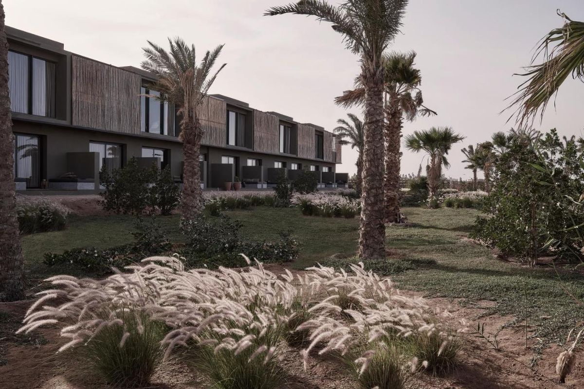 Casa Cook El Gouna (Adults Only) фото 1