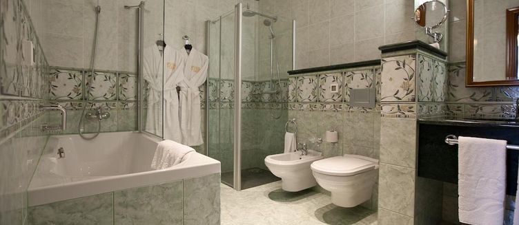 Фото отеля Русь