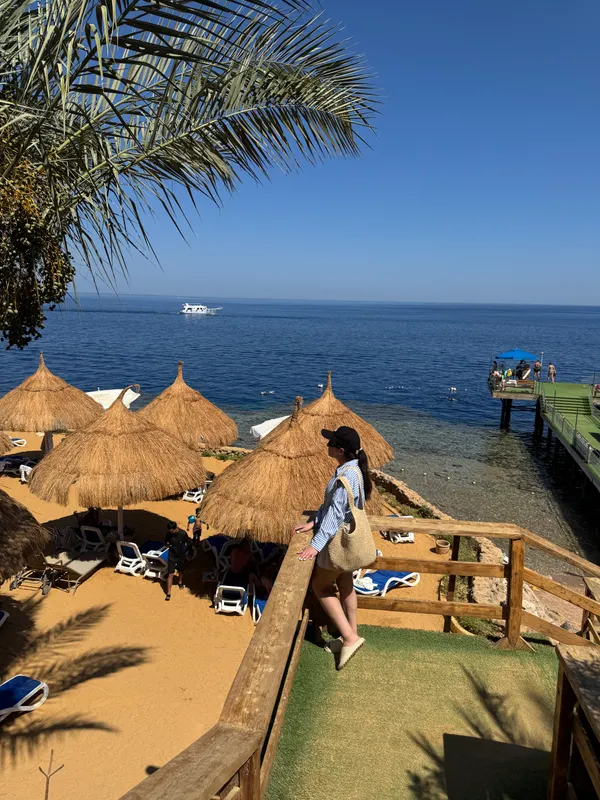 Pickalbatros Luxury Suites фото 134