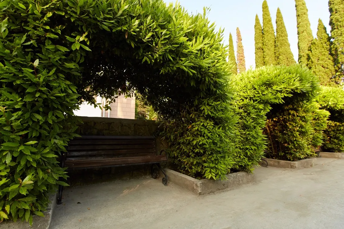 Old Gagra Hotel фото 8