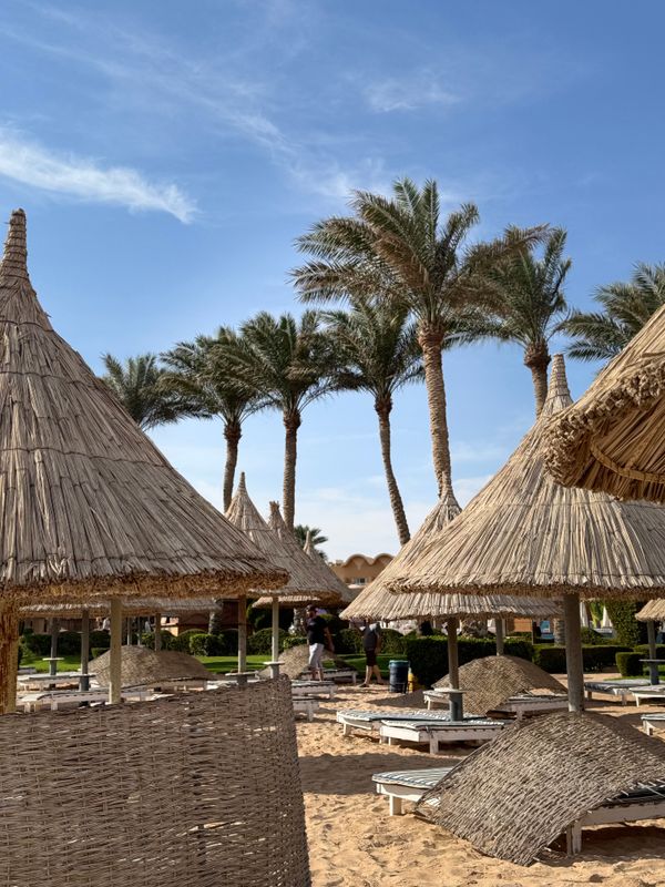 Sharm Grand Plaza Resort фото 60