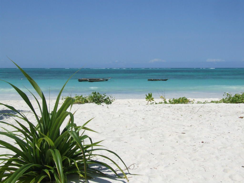 Next Paradise Boutique Resort фото 4