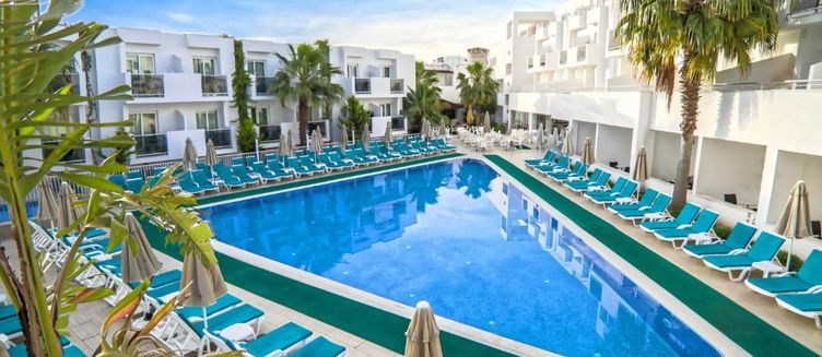 Фото отеля Club Shark Hotel