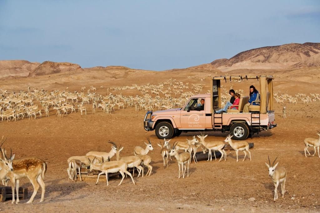 Anantara Sir Bani Yas Island Al Yamm Villa Resort фото 32