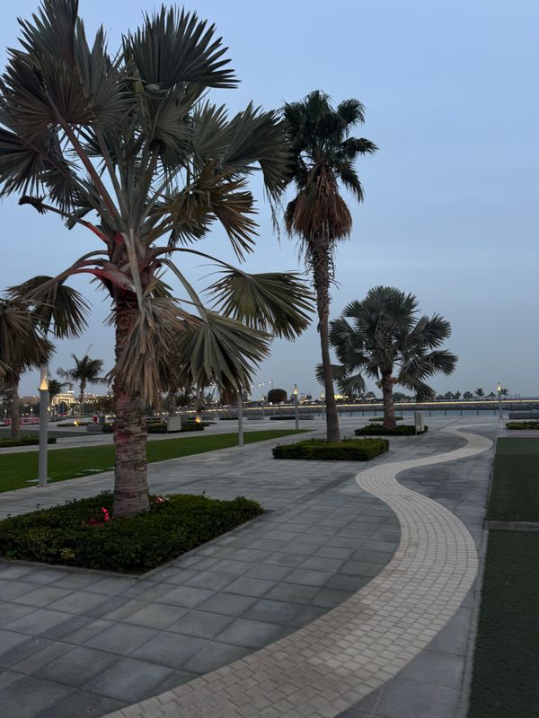 Rove Al Marjan Island фото 66