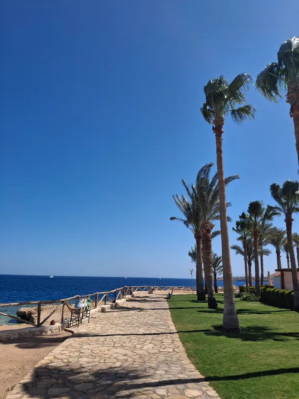 Sharm Club Beach Resort фото 66