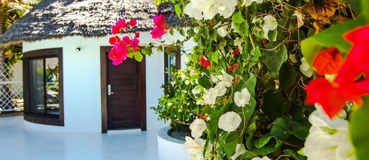 Фото отеля Blue Moon Resort