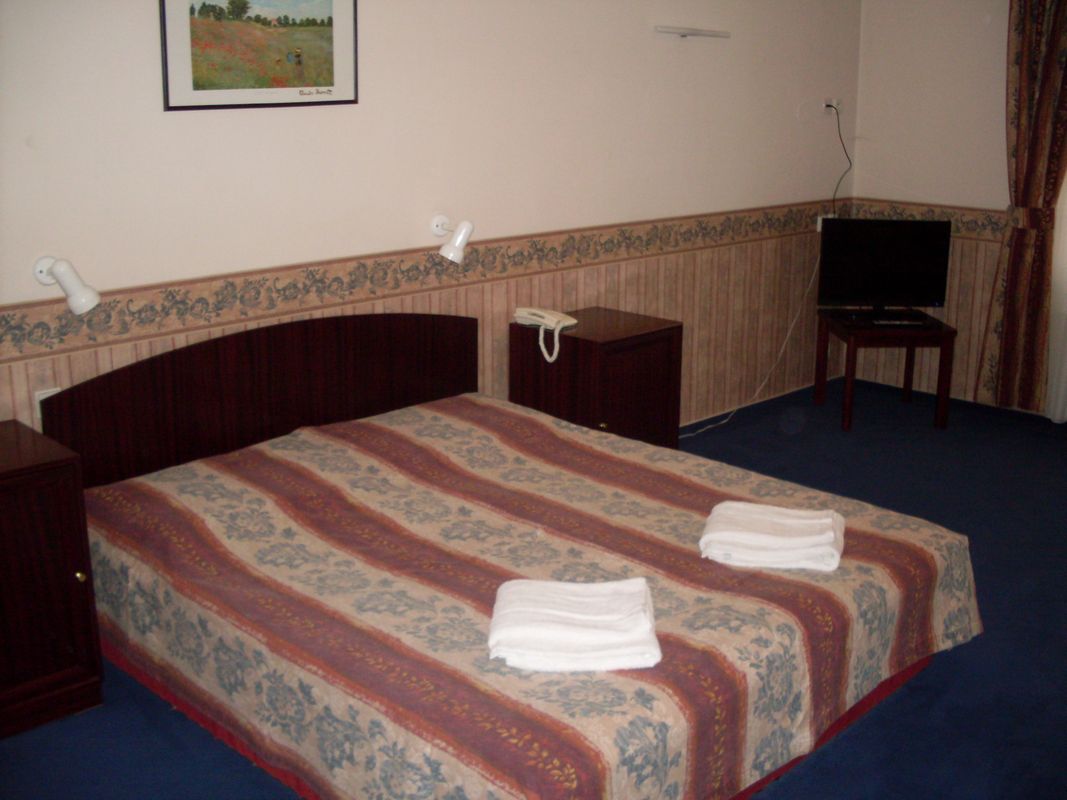 Hotel Mega фото 7