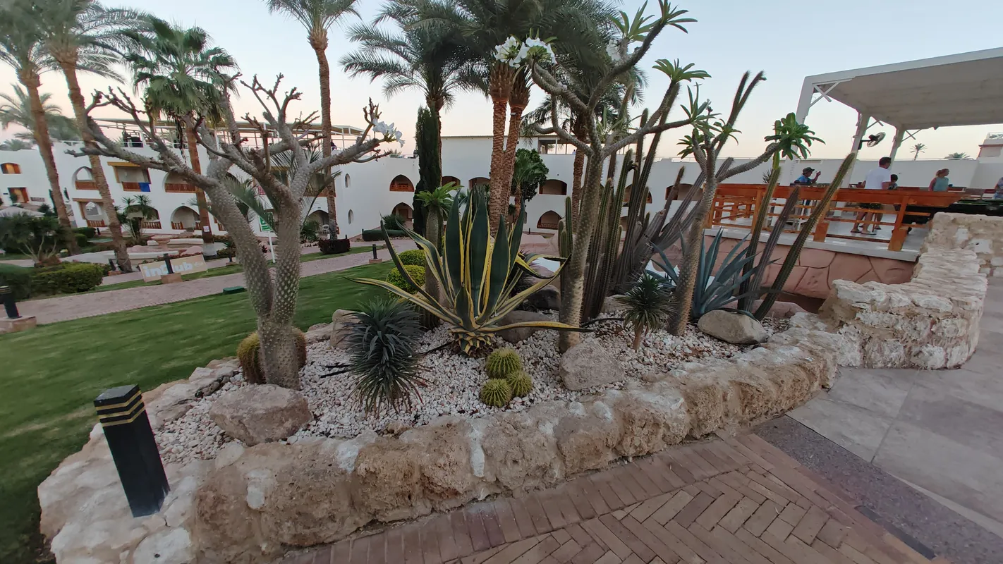 Pickalbatros Royal Grand Resort Sharm El Sheikh (Adults Only) фото 83