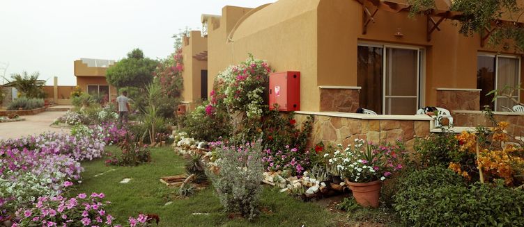 Фото отеля Silver Beach Redsea Resort