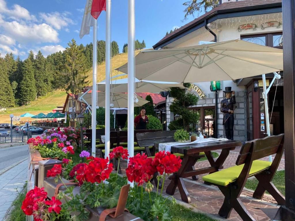 Hotel Alpin фото 18