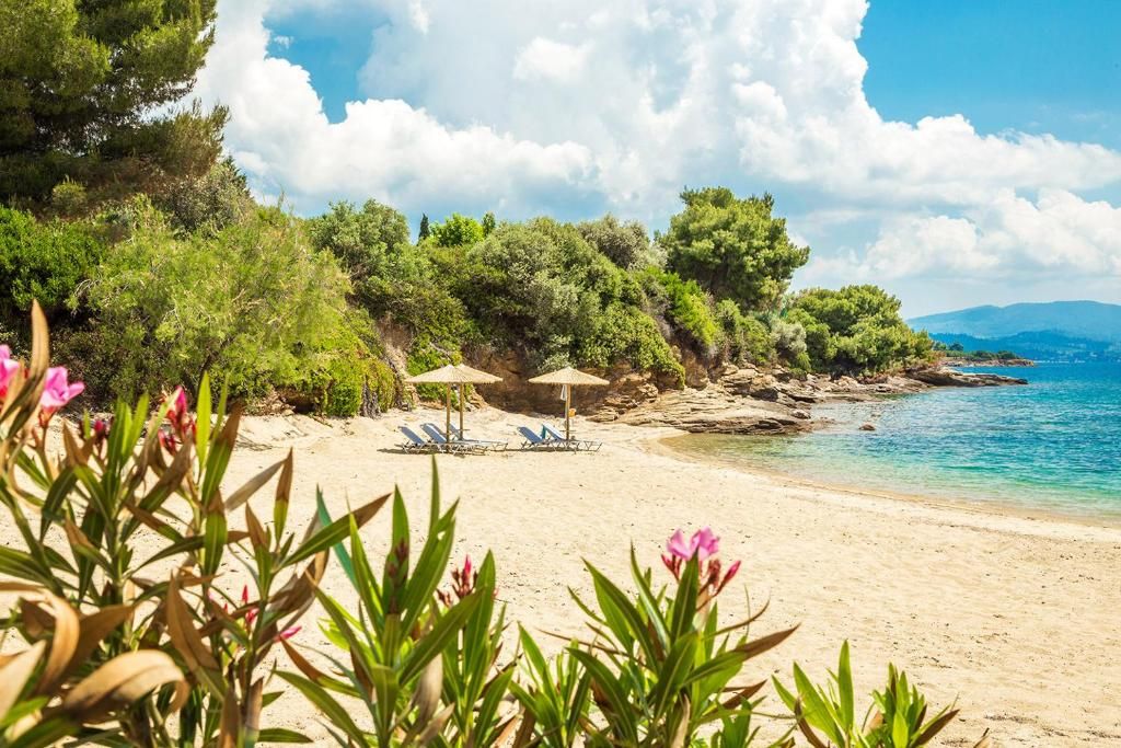 Villa Aphrodite in Sithonia фото 19