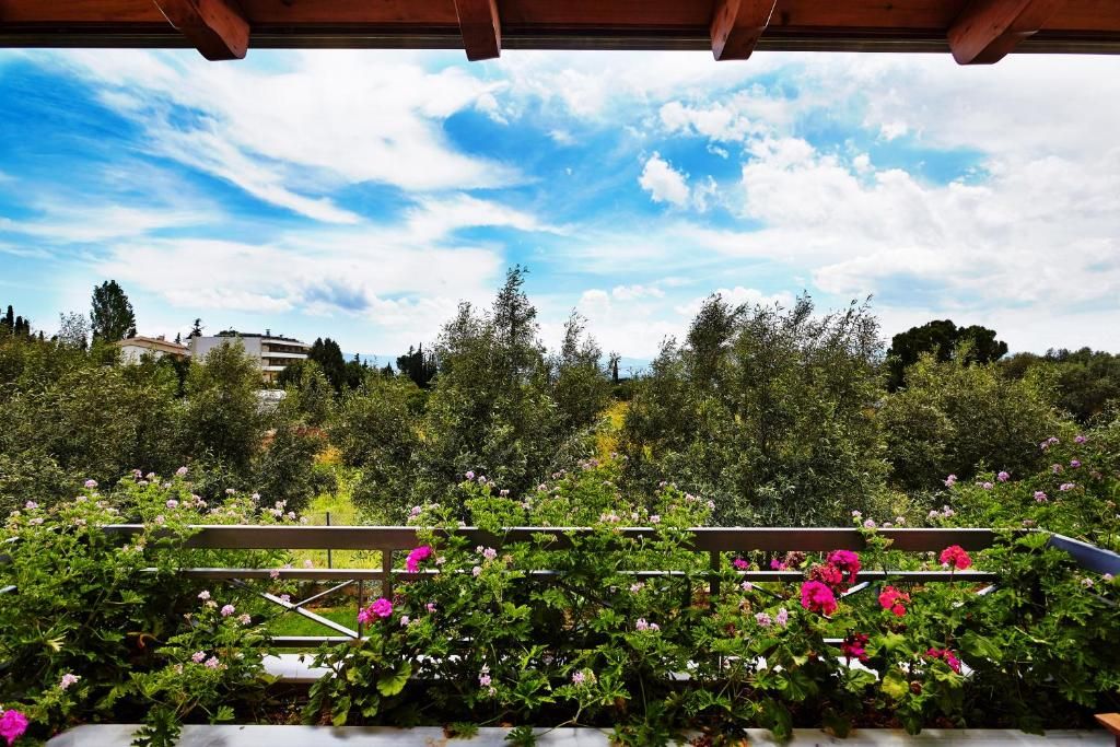 Miramare фото 29