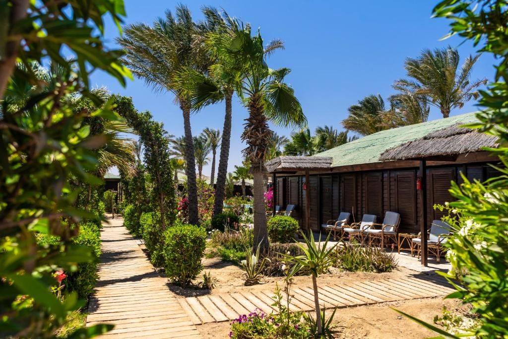 Abu Dabbab Lodge фото 29