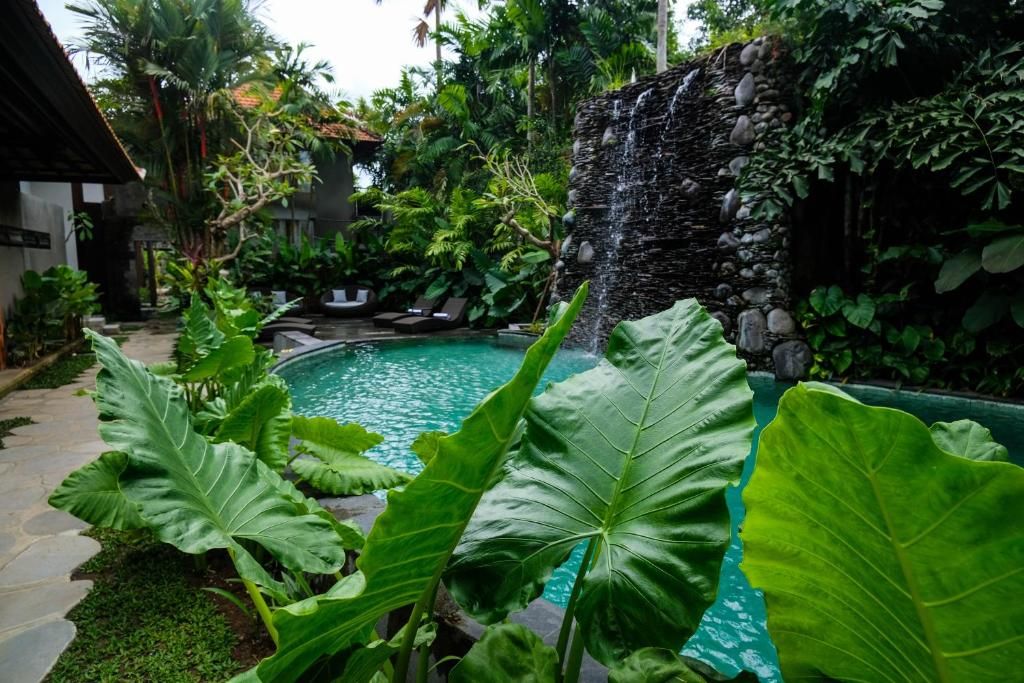 Japa Suites & Villas фото 27