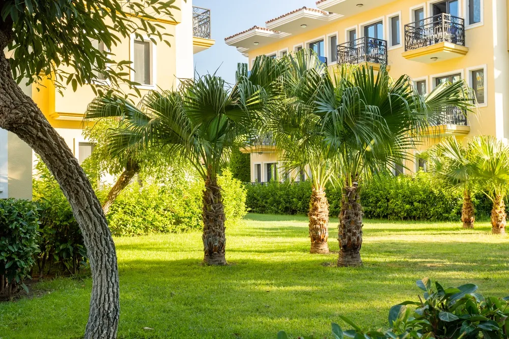 Club Hotel Phaselis Rose фото 213