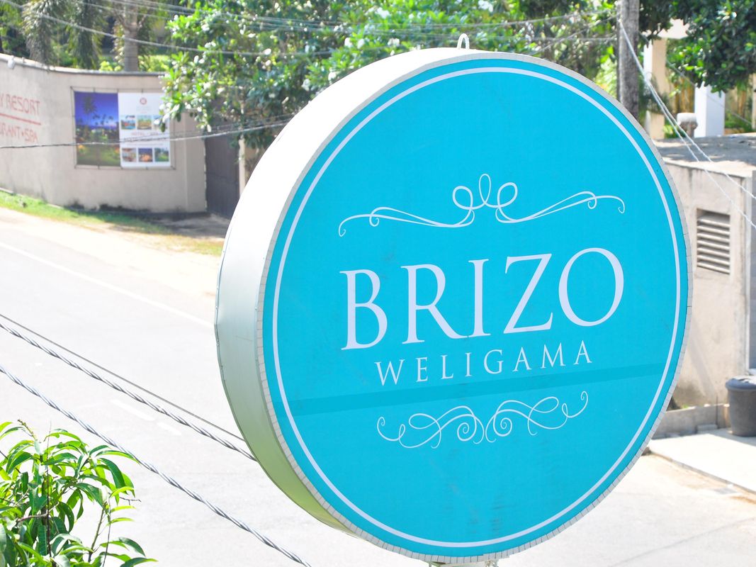 Brizo фото 40